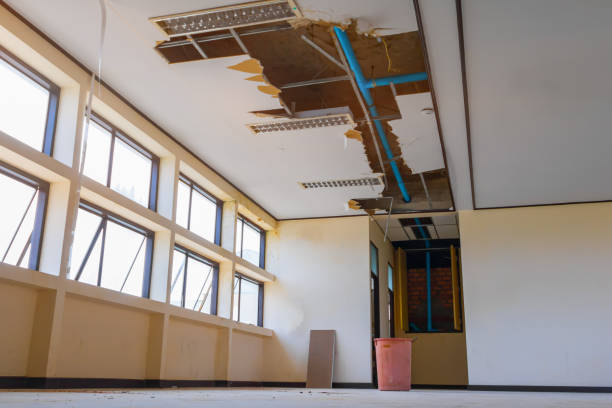 Best Sewage cleanup and water damage restoration  in Ames Lake, WA