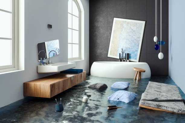 Best Ceiling water damage repair  in Ames Lake, WA