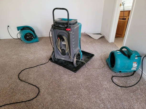 Best Local water damage restoration  in Ames Lake, WA