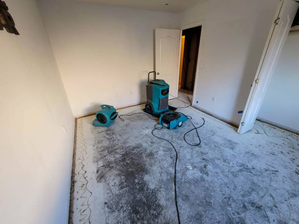 Best Carpet water damage restoration  in Ames Lake, WA