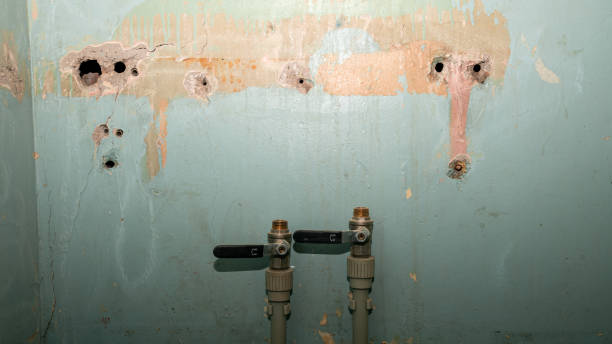 Best Basement water damage restoration  in Ames Lake, WA