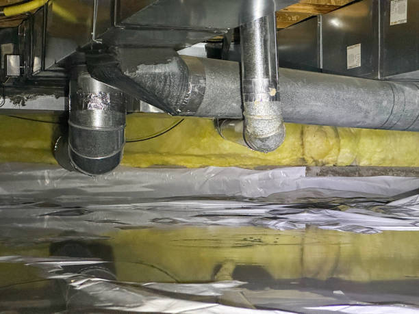 Best Professional water damage repair  in Ames Lake, WA