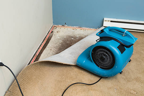 Best Emergency water damage restoration  in Ames Lake, WA